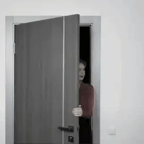 Automatic Door Closer